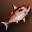 Большая Проворная Красная Рыбка.jpg