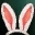 Ушки Кролика.jpg